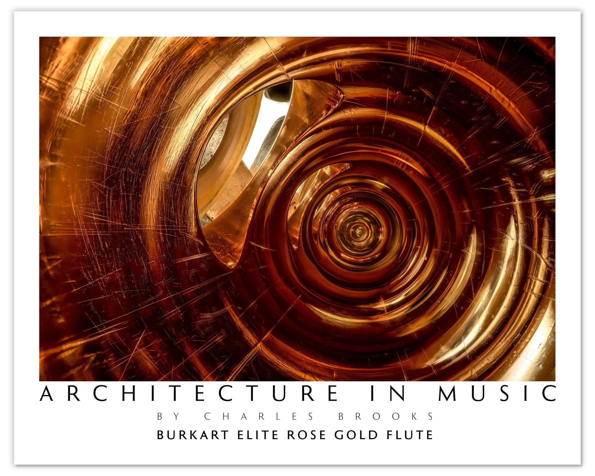 Photo of 14k Burkart Elite Rose Gold Flute. Poster. - Giclée Poster Print - Architecture In Music