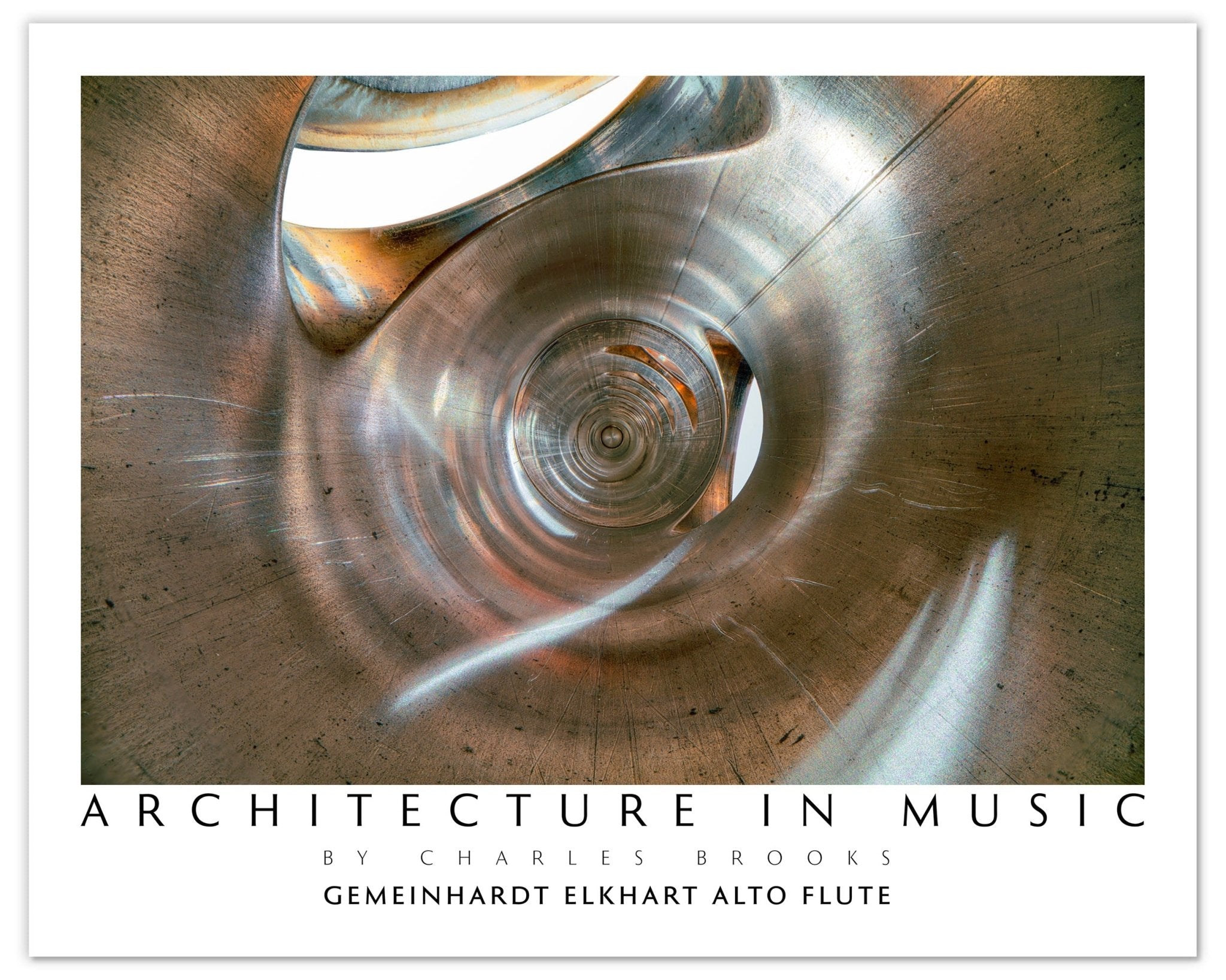 Photo of Alto Flute. Poster. - Giclée Poster Print - Architecture In Music