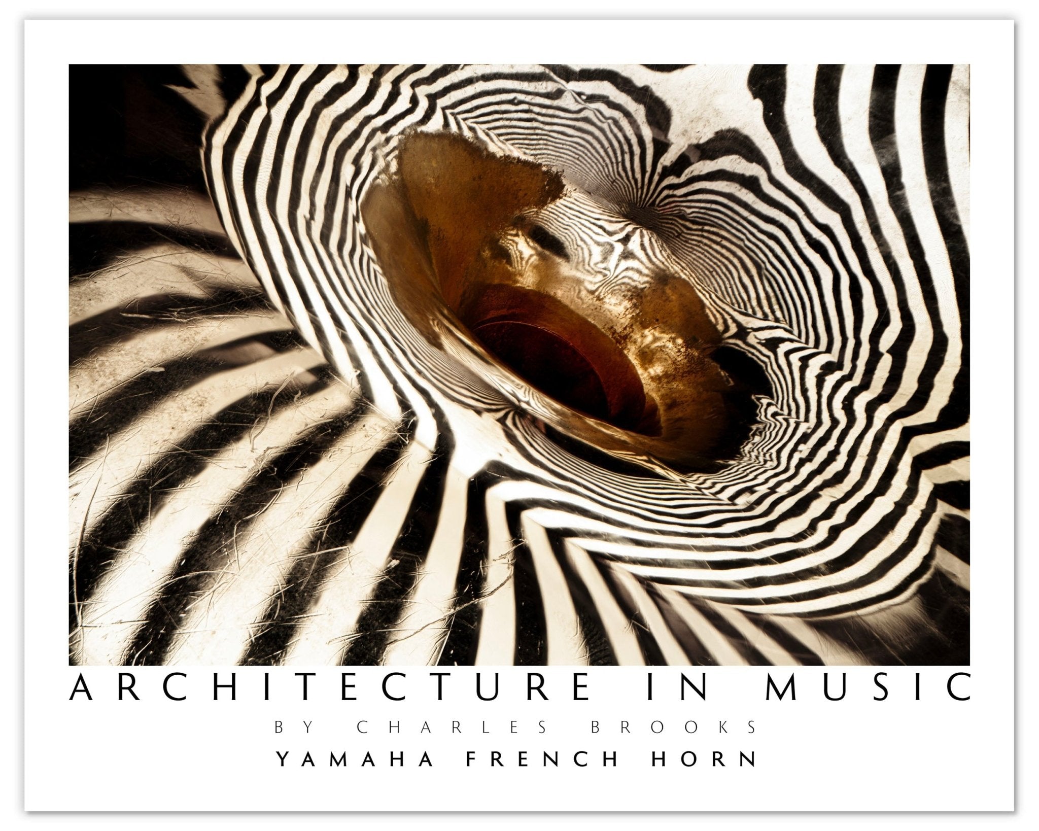 Photo of Yamaha 867d French Horn, Part 2. Poster. - Giclée Poster Print - Architecture In Music