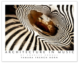 Photo of Yamaha 867d French Horn, Part 2. Poster. - Giclée Poster Print - Architecture In Music